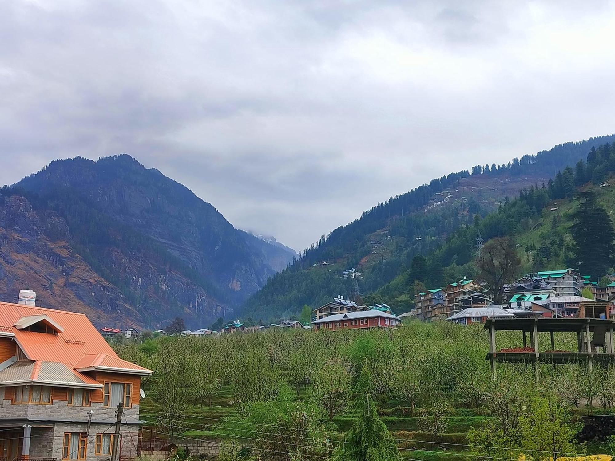 Hotel Sakura Palace - Manali (Himachal Pradesh), Manali