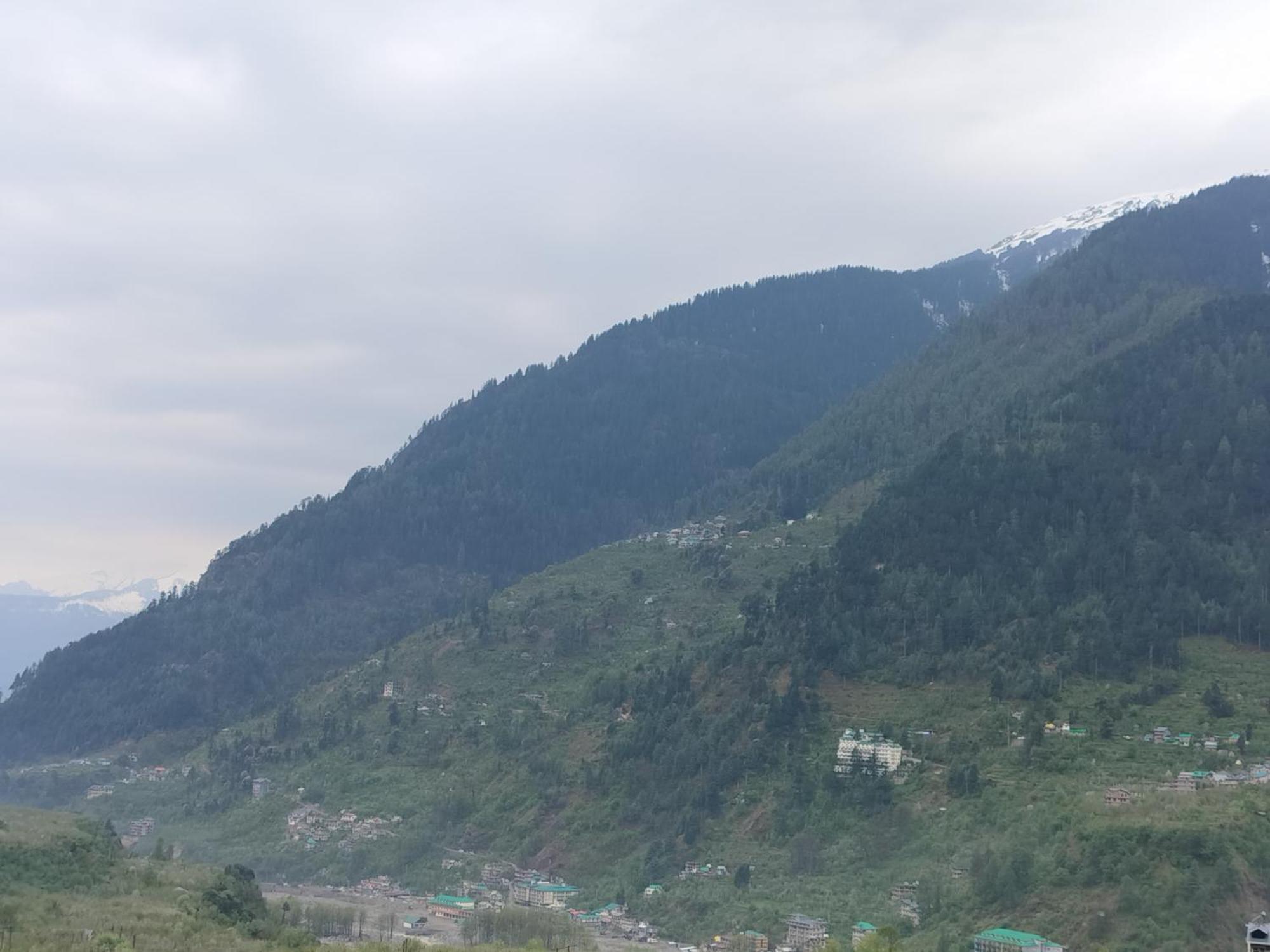 Hotel Sakura Palace - Manali (Himachal Pradesh) — Photos 2
